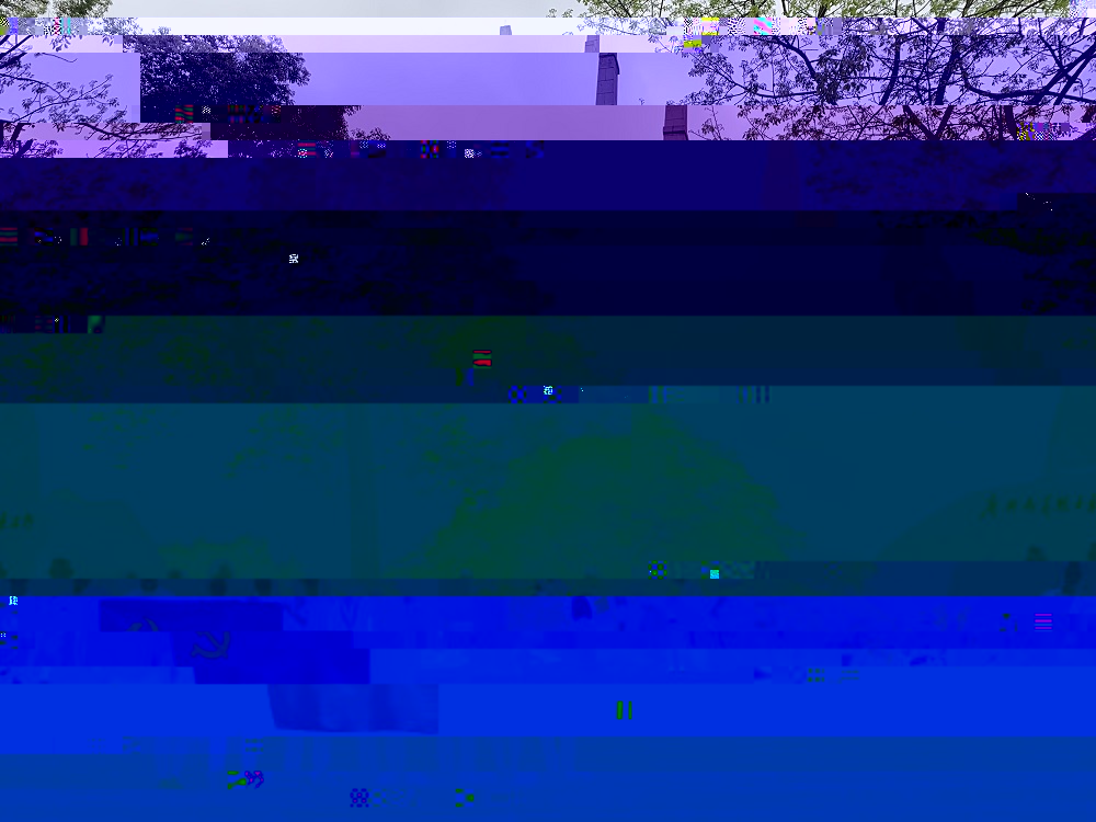 黨日活動合影